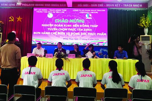 Hơn 300 lao động dự tuyển đi làm việc tại Nhật Bản