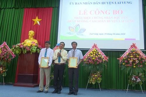 Huyện Lai Vung công bố nhãn hiệu chứng nhận quýt đường, cam soàn