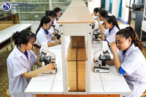 Ngành Hóa học và Sinh học: Nhiều cơ hội việc làm
