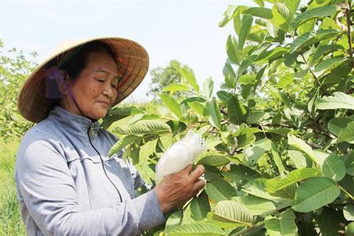 Lan tỏa cảm hứng sống cho người khuyết tật