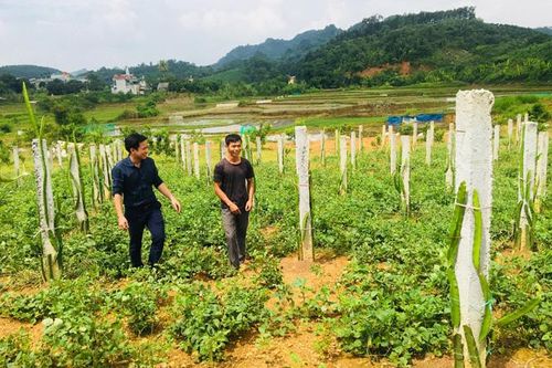 'Thủ phủ' lò gạch thủ công không còn đỏ lửa