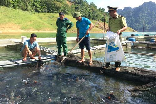 Nuôi cá đặc sản: Hướng làm giàu ở Lâm Bình
