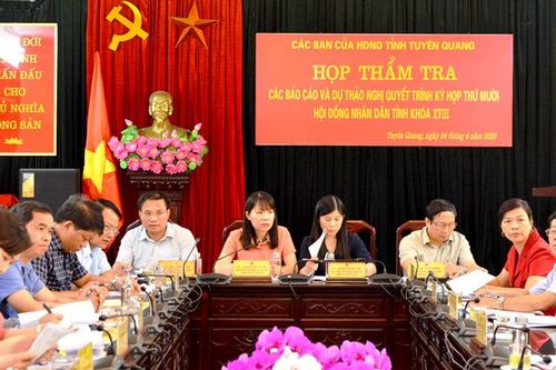 Thẩm tra các báo cáo trình kỳ họp thứ 10, HĐND tỉnh khóa XVIII
