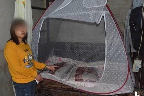 Hợp sức cùng tình nhân quen biết qua mạng sát hại chồng lớn tuổi, người phụ nữ bật khóc nghẹn ngào kể lại động cơ và quá trình gây án