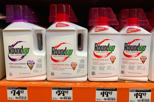 Hãng sở hữu Monsanto đền bù hơn 10 tỷ USD vì thuốc diệt cỏ gây ung thư