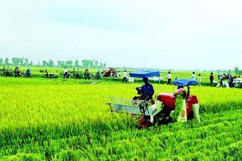 Bộ Nông nghiệp 'đòi' hủy hơn 1.800 tỷ đồng kế hoạch vốn ODA