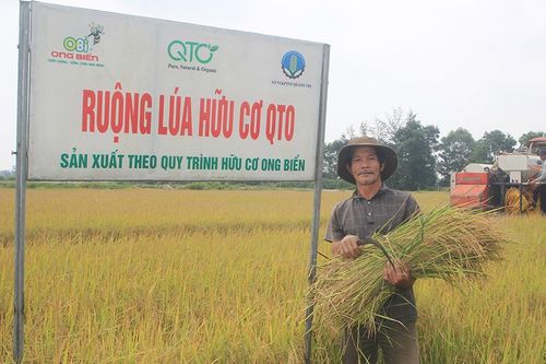 Phát triển nông nghiệp hữu cơ tại Quảng Trị là hướng đi đúng