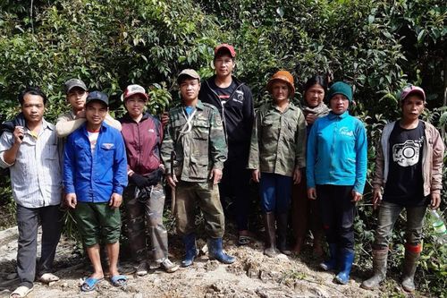 Nỗ lực bảo vệ hơn 55,2 nghìn ha rừng
