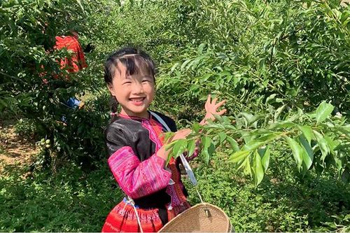 Cô bé lớp 1 giới thiệu cuộc sống của đồng bào H'Mông bằng tiếng Anh gây sốt