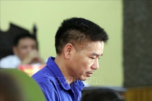 Vụ án gian lận điểm thi tại Sơn La: Năm bị cáo kháng cáo bản án sơ thẩm