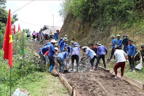 Tổ chức các hoạt động thanh niên tình nguyện phù hợp với tình hình dịch COVID-19