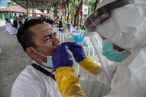 Số ca mắc COVID-19 ở Indonesia lên hơn 50.000 người