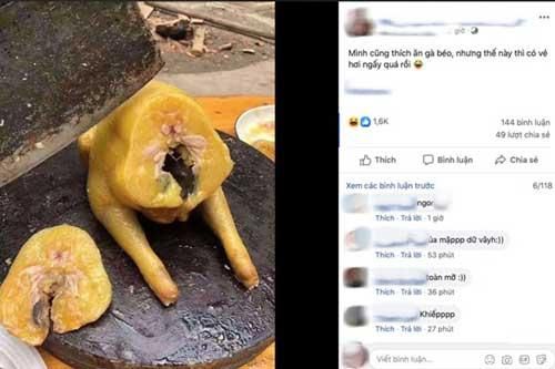 Luộc được con gà vàng óng, cô gái đem đi chặt thì giật mình vì gà 'nhiễm mỡ toàn thân'