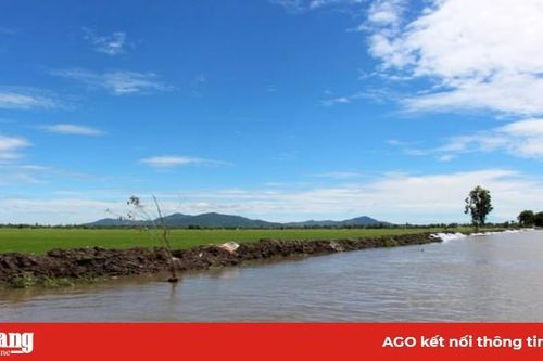 Chuẩn bị tốt vụ thu đông 2020