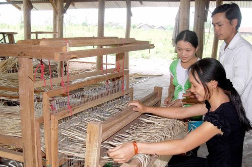 Nâng cao hiệu quả kinh tế hợp tác xã