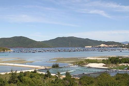 Tạm dừng quy hoạch Đặc khu bắc Vân Phong