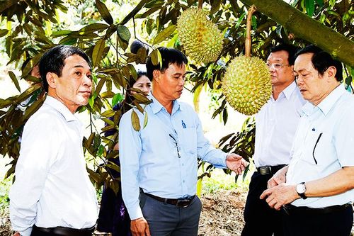 Kiểm tra, Khảo sát sản phẩm OCOP tại Khánh Sơn