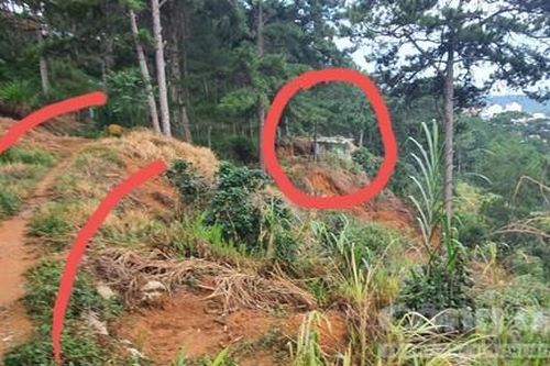 Cần giải pháp hợp lý cho 5 hộ dân đi chung đường vào Dinh 3