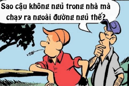 Muỗi sập bẫy của anh chàng thông minh