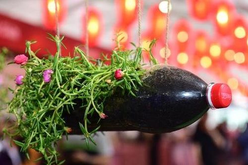 Trạng thái bình thường mới: Để rác thải chỉ là quá khứ
