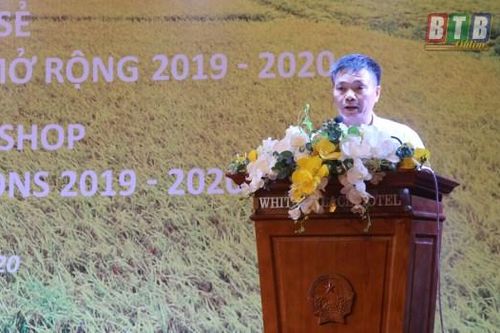 Thái Bình: Áp dụng công nghệ trong trồng lúa