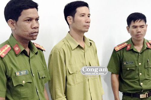 Gia Lai: Khởi tố, bắt tạm giam nhân viên bảo vệ rừng vì… để mất rừng