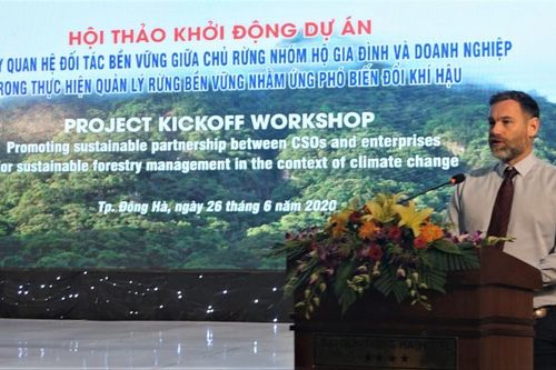 Thúc đẩy thực hiện quản lý rừng bền vững nhằm ứng phó biến đổi khí hậu
