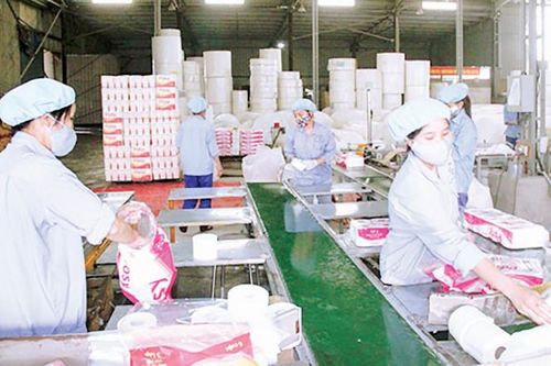 Công ty Cổ phần Xuất nhập khẩu Bắc Giang: Tạo dựng thành công thương hiệu 'Giấy Xương Giang'