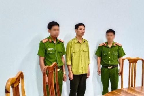 Khởi tố, bắt tạm giam nhân viên bảo vệ trong vụ phá rừng tại Gia Lai