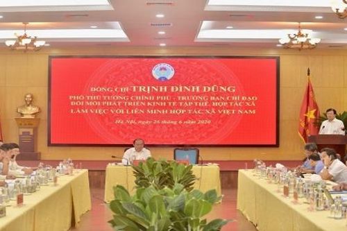 Cần thúc đẩy hợp tác xã phát triển mạnh mẽ và rộng khắp.