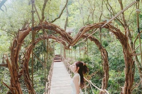 Trải nghiệm công viên trên cây độc đáo bậc nhất tại Việt Nam- Ozo Tree Top Park