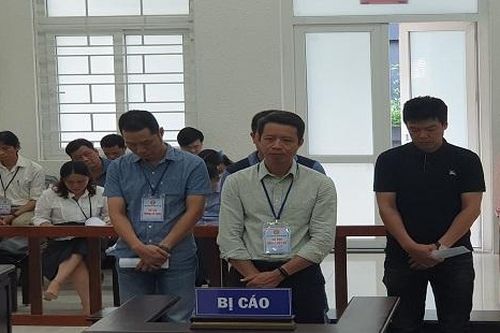 Lừa đảo chiếm đoạt hàng tỷ đồng, nhiều lãnh đạo doanh nghiệp dắt nhau vào tù
