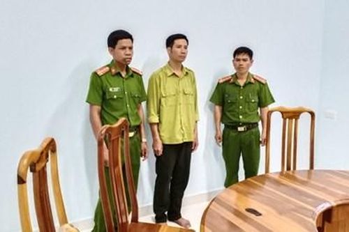 Vụ phá rừng quy mô lớn ở Gia Lai: Khởi tố, bắt giam một nhân viên bảo vệ rừng