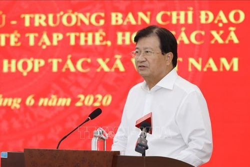 Xây dựng cơ chế chính sách hợp lý giúp hợp tác xã phát triển