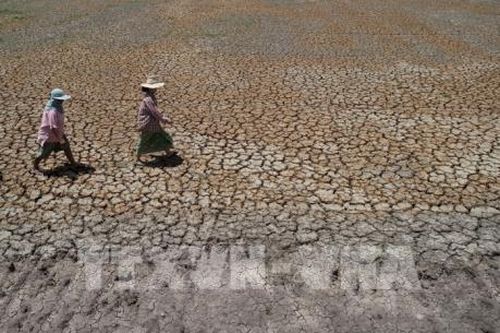 Thái Lan dành 10 tỷ USD cho kế hoạch phục hồi nông nghiệp