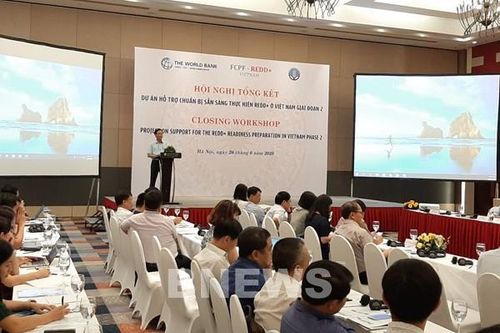 Việt Nam sẵn sàng thực hiện REDD+