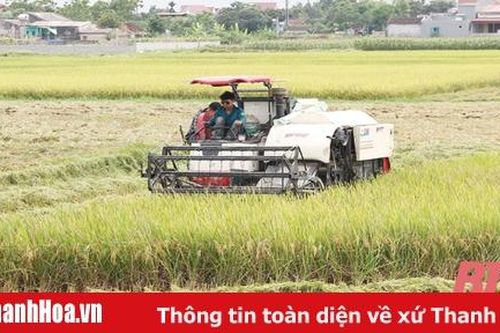 Ghi nhận kết quả trong sản xuất vụ đông xuân