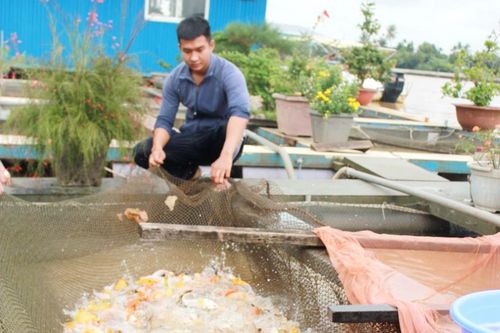 Đến cuối năm 2020, Biên Hòa ngưng chăn nuôi