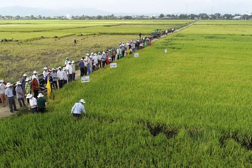 Gắn tái cơ cấu ngành nông nghiệp với xây dựng nông thôn mới