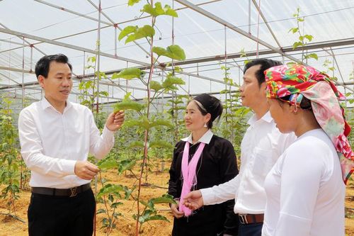 Nền tảng để Bảo Yên phát triển nhanh và bền vững