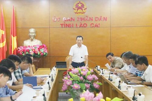 Đẩy nhanh tiến độ các công trình đưa điện về thôn