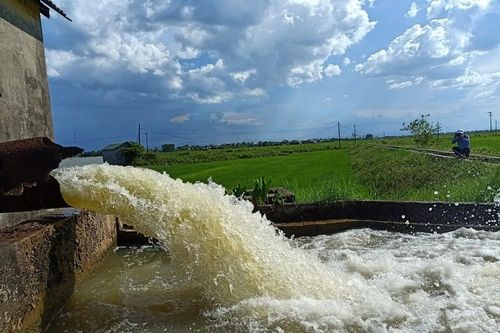 Quảng Trị: Luôn đảm bảo đủ điện để vựa lúa Triệu Phong thêm trĩu hạt