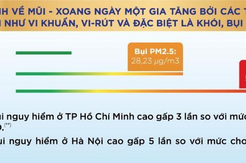Sự nguy hiểm của bụi mịn PM2.5 và PM10