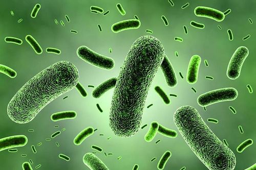 Bạch hầu và những bệnh có thể phòng ngừa bằng vaccine