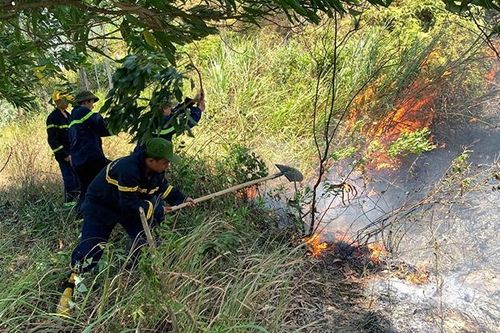 Nhanh chóng dập tắt vụ cháy rừng giữa trời nắng gắt