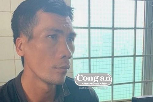 Mang 'trát' nhập nha