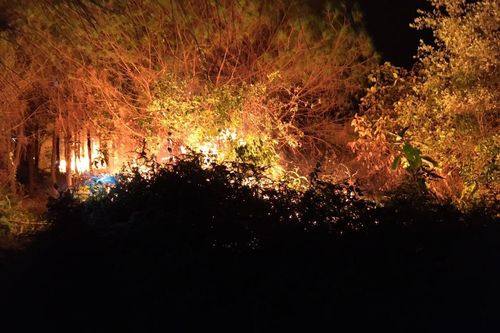 Dập tắt một vụ cháy rừng trong đêm ở Hà Tĩnh