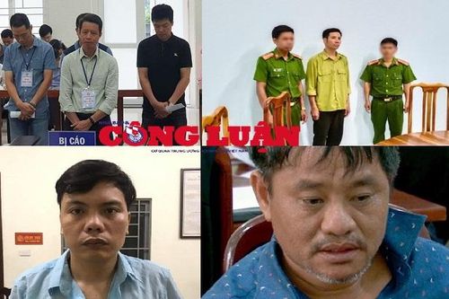 Bản tin pháp luật 8H: Cựu giám đốc dùng thủ đoạn 'đơn giản' lừa PGBank hơn 22 tỷ đồng
