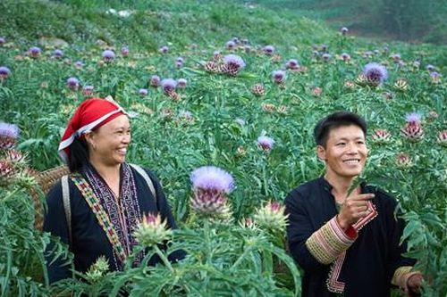 Phụ nữ Dao đỏ biến tri thức bản địa thành cơ hội thoát nghèo