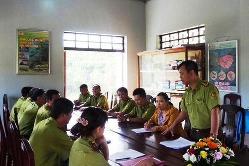 Áp lực giữ màu xanh đại ngàn